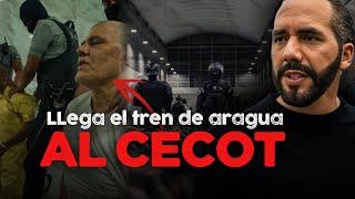 INCREIBLE! NAYIB BUKELE RECIBE mas de 200 p@andilleros del TREN DE ARAGUA para el CECOT