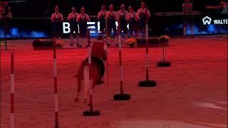 Südtirols größtes Reitspektakel - STUTTGART GERMAN MASTERS Show 2024