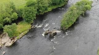 The river forth