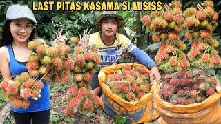 HULING PITAS NG RAMBUTAN KASAMA SI MISISS NAPAKARAMI PANG NAKUHA