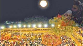 World’s largest Tribal Festival (sammakka Saralamma Jatara )