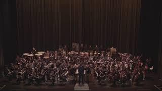 Impressions 心弦 - SUTD Chinese Orchestra 新加坡科技与设计大学华乐团