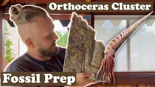 Find and prep! Ordovician Orthoceras Cluster