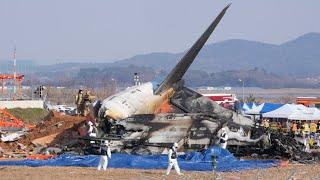 ‘Very perplexing’: Aviation expert analyses fatal South Korea plane crash