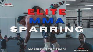 CRAZY SKILL! ELITE TECHNICAL MMA SPARRING #boxing #muaythai #mma #sparring #kickboxing