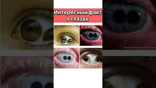 Интересный факт о глазах #факты #человек #интересныефакты #short #shorts #youtubeshorts