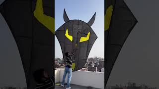 Biggest bat kite #kiteflying #kitelover #patang #kitefighting