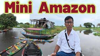 Mini Amazon Near Kolkata || One Day Tour Near Kolkata || Bortir Bill