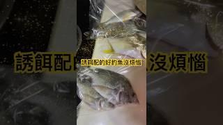 夏天還有這樣的成績真舒服 #黏巴達 #林口 #船磯 #fyp