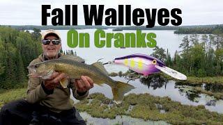 What's the SECRET to Fall Walleyes in Transitions