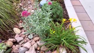 Three Flowers to Plant With Karl Foerster Feather Reed Grass