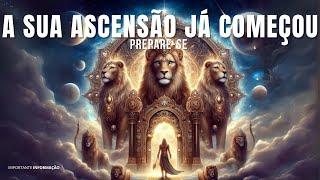 A SUA ASCENSÃO JÁ COMEÇOU | CONSELHO | FRATERNIDADE DA LUZ