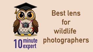 Expert pro wildlife photographer Andy Rouse explains the best lens for wildlife photographers