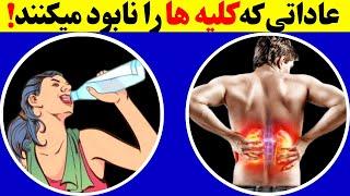 ۱۱عادت ساده ولی خطرناک که کلیه ها رو نابود میکنه! مراقب سلامت کلیه ها ت باش!