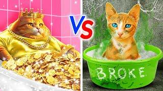 Бедный котёнок vs Богатый кот! Не плачь, милый котёнок  Я построил домик для своих питомцев! 