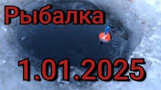 Рыбалка на поплавок 1 января 2025 г. на лесном озеро!Эти рыбины топят поплавок на дно! Рыбалка 2025