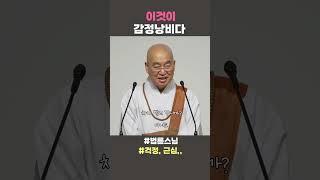 이것이 감정낭비다  #법륜스님 #법륜스님쇼츠 #걱정 #근심 #법륜쇼츠 #즉문즉설 #정토불교대학