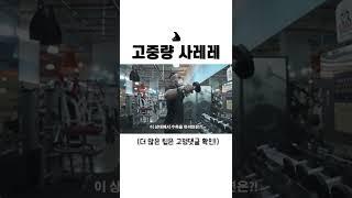 고중량 사레레