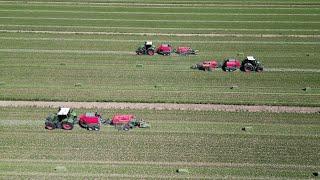 Making Rye Alfalfa Mix