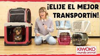 Cómo ELEGIR un TRANSPORTÍN para Perros 【Medidas y Usos 】