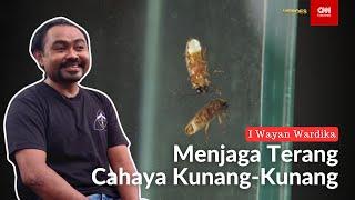 Menjaga Terang Cahaya Kunang-Kunang