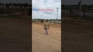 farm house #gazal Ghulam Ali