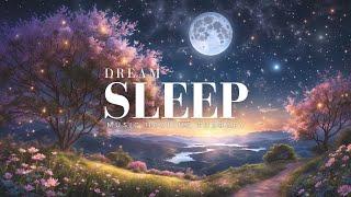 Cozy Dreams : Sleep Music for Deep Rest and Relaxation, Stress Relief Music, Healing Music