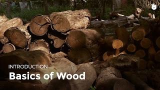 Basics of Wood | Woodworking