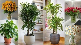 Indoor Plant, Flower & Vase Design Ideas and inspiration|Indoor plant decor ideas| flower decoration