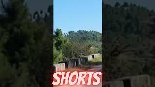 Roadtrip to Dawki #shorts Shillong to Dawki Scenic Drive Meghalaya Shillong
