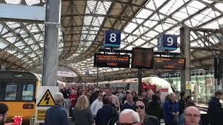 Si Senor song in Liverpool Lime Street Station || Bobby Firmino