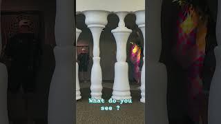 What do you see ?