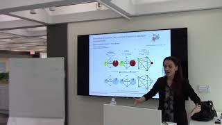 Sandra González-Bailón "Networks and the Unintended Consequences of Communication"