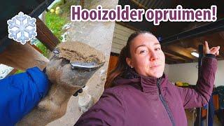 HOOIZOLDER OPRUIMEN & PROBLEEM met IJZERS en SNEEUW! ️