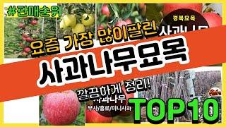 사과나무묘목 추천 판매순위 Top10 || 가격 평점 후기 비교