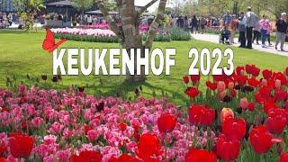 KEUKENHOF HOLLAND 2023. THE MOST BEAUTIFUL SPRING GARDEN IN THE WORLD.