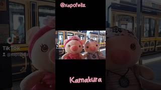 Brasileiros No Japão: Xapo Family! #xapofeliz #kamakurajapan #brasileirosnojapão