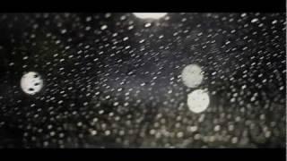 Sean Brown - IWR (video)