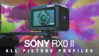 Sony RX0 II Hands-On - ALL PICTURE PROFILES!