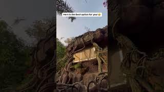 Cavehouse Stay In Kerala | Parakkat Nature Resort | Cave rooms in Munnar