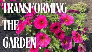Planting Annuals in Our Garden Beds 2025