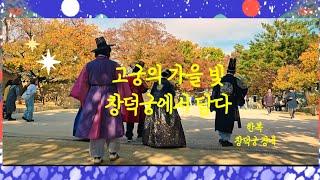 4KUHD Walking around 창덕궁 경내 두루 산책합니다  2024.11.16.