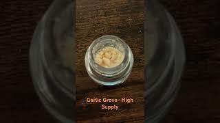 Garlic Grove- High Supply