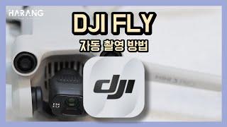 자동으로 드론 전문가처럼 찍어주는 기능 | DJI FLY 자동촬영기능 활용하기