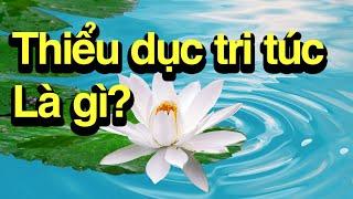 THIỂU DỤC TRI TÚC LÀ GÌ? HIỂU ĐÚNG ĐỂ THỰC HÀNH ĐÚNG