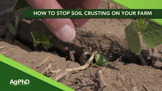 Preventing soil crusting on your farm.  (From Ag PhD Show #1127 - Air Date 11-10-19)