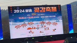 2024 양촌곶감축제 개막식 , 가수 남궁순옥, 허찬미, 박명수 출연 축하공연.