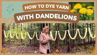 How to Dye Wool Yarn with Dandelions the Easy Way