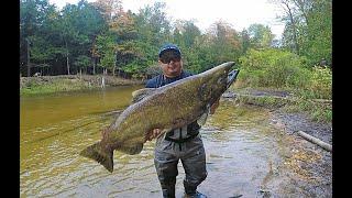 BETSIE RIVER MICHIGAN SALMON FISHING FALL 2021