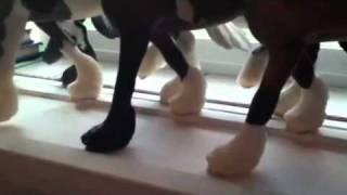 My Breyer conga line